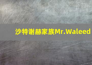 沙特谢赫家族Mr.Waleed