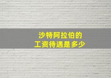 沙特阿拉伯的工资待遇是多少