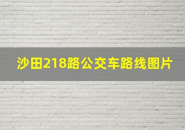 沙田218路公交车路线图片