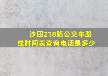 沙田218路公交车路线时间表查询电话是多少