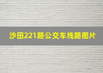 沙田221路公交车线路图片