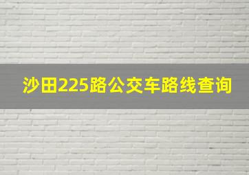 沙田225路公交车路线查询