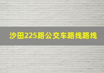 沙田225路公交车路线路线