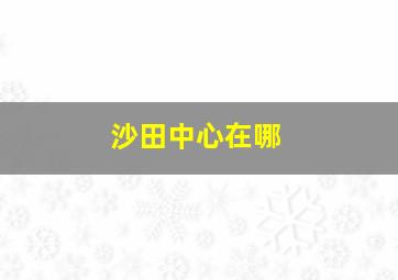 沙田中心在哪