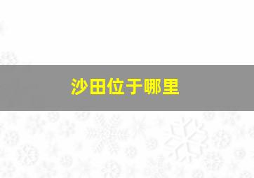 沙田位于哪里