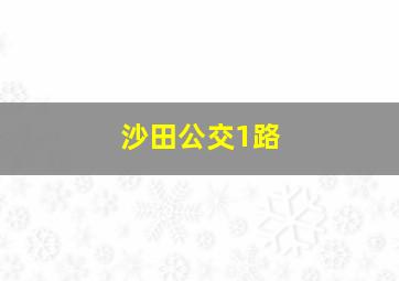 沙田公交1路