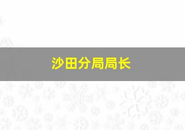 沙田分局局长