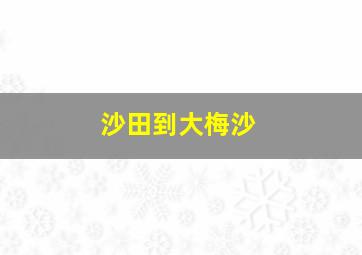 沙田到大梅沙