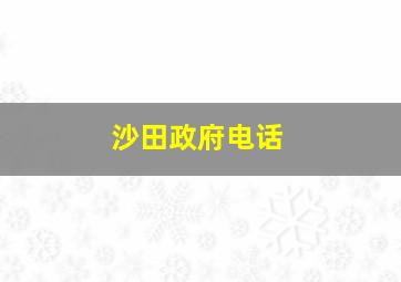 沙田政府电话