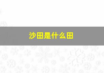 沙田是什么田