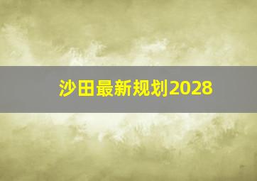 沙田最新规划2028