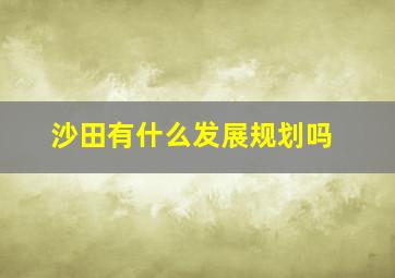 沙田有什么发展规划吗