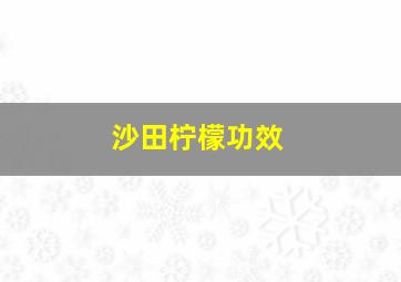 沙田柠檬功效