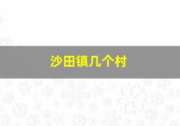 沙田镇几个村