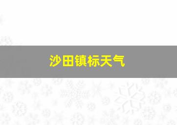 沙田镇标天气