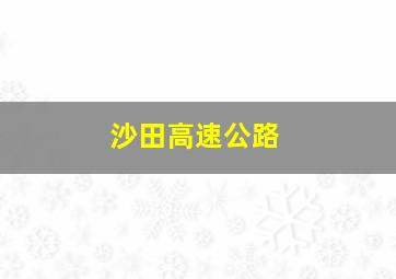 沙田高速公路