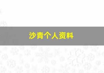 沙青个人资料