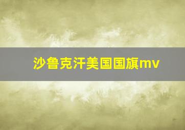 沙鲁克汗美国国旗mv