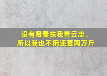 没有贤妻扶我青云志、所以我也不用还妻两万斤