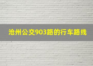 沧州公交903路的行车路线