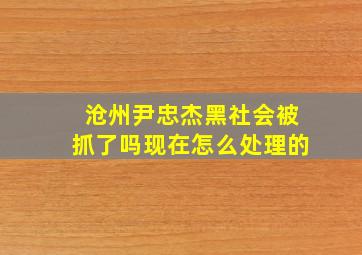 沧州尹忠杰黑社会被抓了吗现在怎么处理的