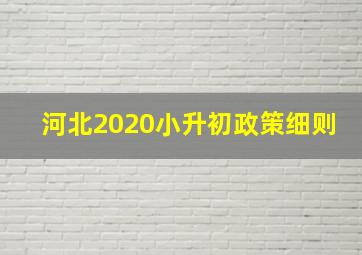 河北2020小升初政策细则