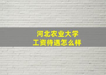 河北农业大学工资待遇怎么样