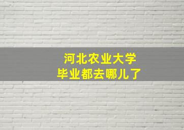 河北农业大学毕业都去哪儿了