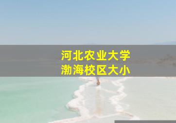 河北农业大学渤海校区大小