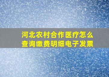 河北农村合作医疗怎么查询缴费明细电子发票