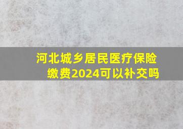 河北城乡居民医疗保险缴费2024可以补交吗