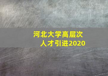 河北大学高层次人才引进2020