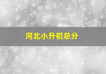 河北小升初总分