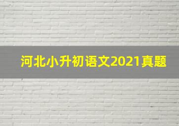 河北小升初语文2021真题