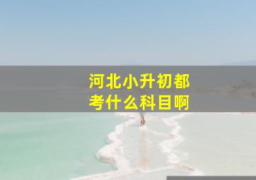 河北小升初都考什么科目啊