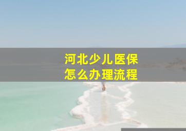 河北少儿医保怎么办理流程