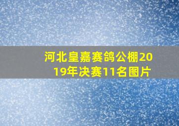 河北皇嘉赛鸽公棚2019年决赛11名图片