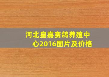 河北皇嘉赛鸽养殖中心2016图片及价格