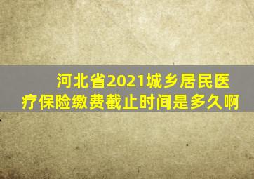 河北省2021城乡居民医疗保险缴费截止时间是多久啊