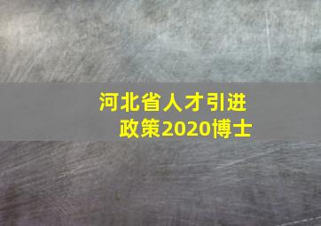 河北省人才引进政策2020博士