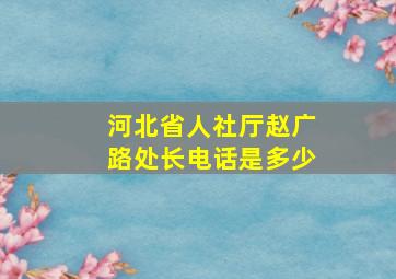 河北省人社厅赵广路处长电话是多少