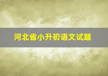 河北省小升初语文试题