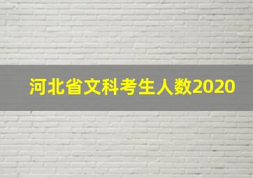 河北省文科考生人数2020