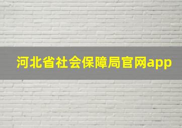 河北省社会保障局官网app