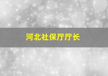 河北社保厅厅长