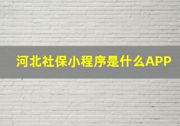 河北社保小程序是什么APP