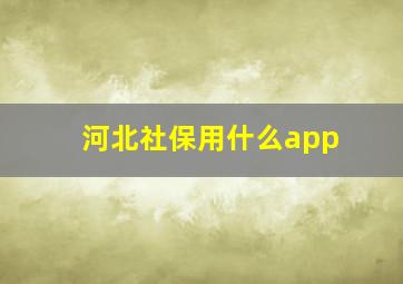 河北社保用什么app