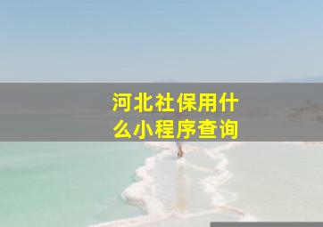 河北社保用什么小程序查询