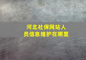 河北社保网站人员信息维护在哪里