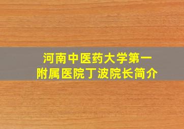 河南中医药大学第一附属医院丁波院长简介